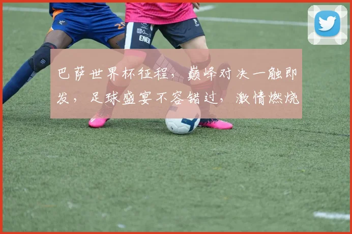 巴萨世界杯征程，巅峰对决一触即发，足球盛宴不容错过，激情燃烧的夏天