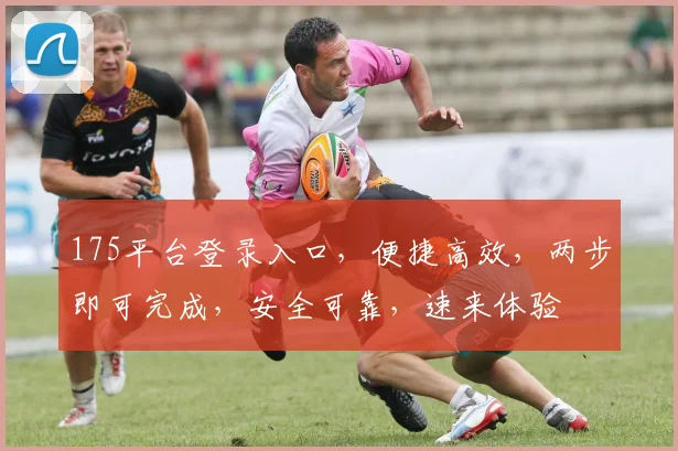 175平台登录入口，便捷高效，两步即可完成，安全可靠，速来体验