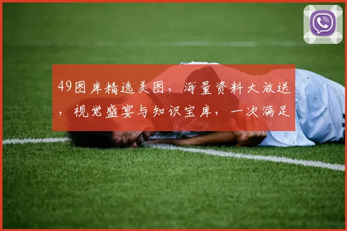 49图库精选美图，海量资料大放送，视觉盛宴与知识宝库，一次满足你两个愿望