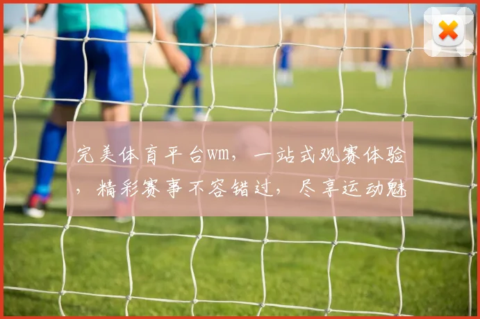 完美体育平台wm，一站式观赛体验，精彩赛事不容错过，尽享运动魅力