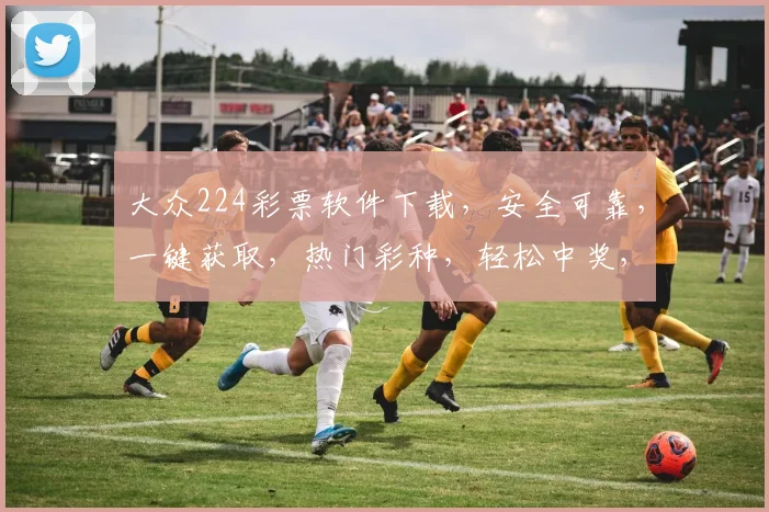 大众224彩票软件下载，安全可靠，一键获取，热门彩种，轻松中奖，快来体验