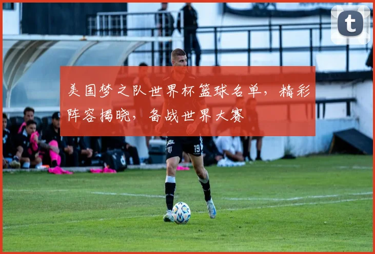 美国梦之队世界杯篮球名单，精彩阵容揭晓，备战世界大赛
